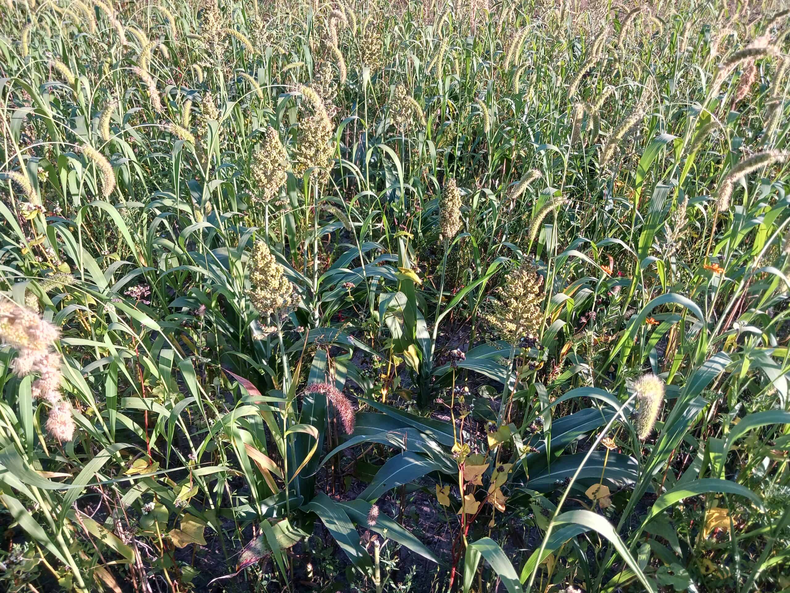 20240930 175227 scaled